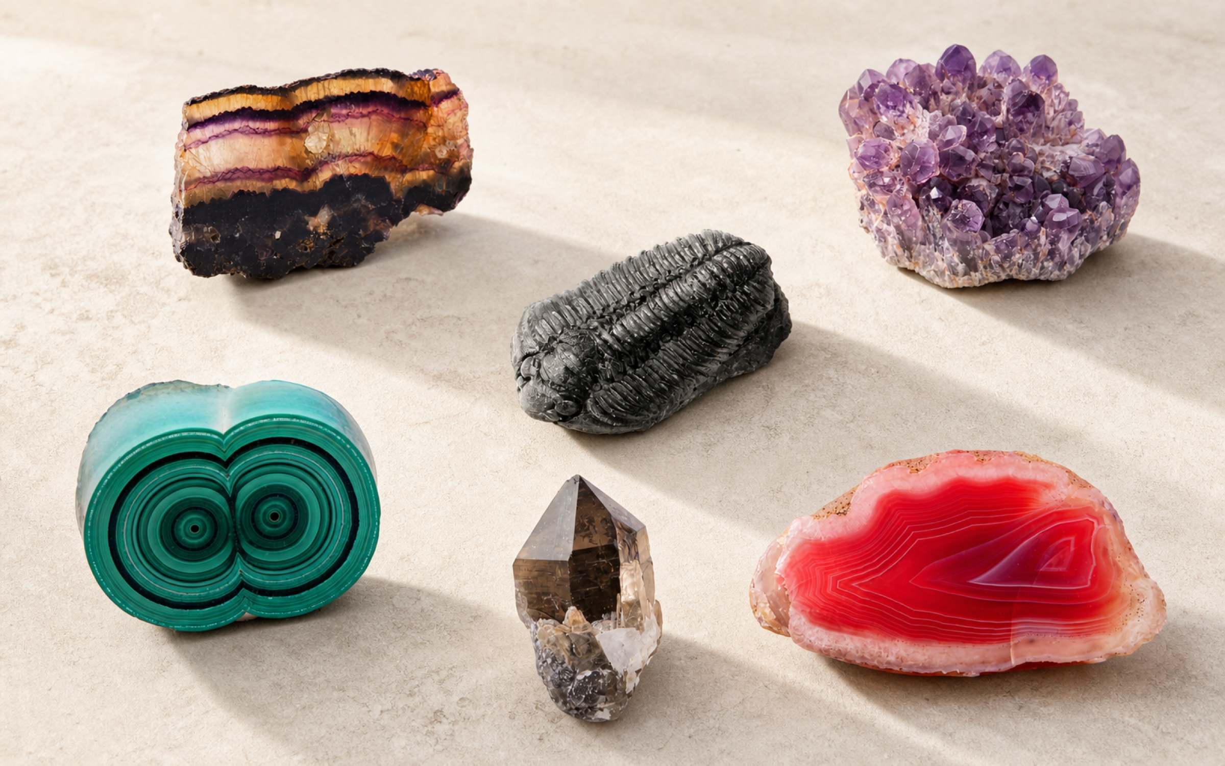 An editorial arrangement of six mineral and fossil specimens from the shop's original collection artwork